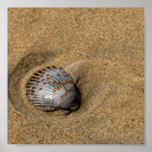 Simple Shell In The Sand PRINT Print