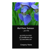 simple style, blue iris business card business card templates