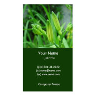 simple style, green lily business card business card
