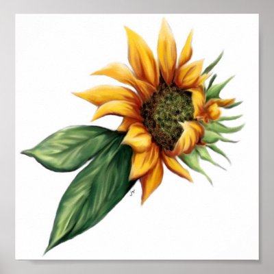 sunflower pictures to print. Sunflower Fine Art Print