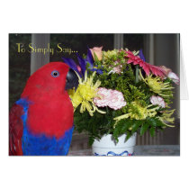 Simple Thank You cards