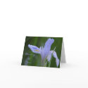 Simple Thinking of You Card by orglioness Simple Thinking of You Card