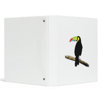 Simple Toucan 3 Ring Binders