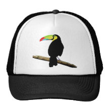 Simple Toucan Trucker Hat