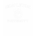 Simpleton University t-shirts