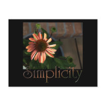 Simplicity 3 postcards