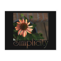 Simplicity 3 postcards