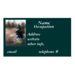 Simplicity Business Card