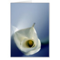 Simplicity cards