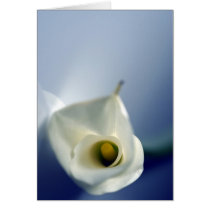 Simplicity cards by nighty Simplicity cards