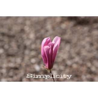 Simplicity flower print