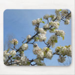 Simplicity of Spring Mouse Pads