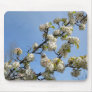 Simplicity of Spring Mouse Pads