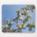 Simplicity of Spring mousepads
