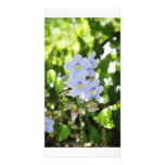 Simplicity Picture Card