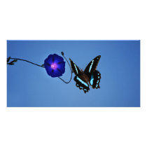 Simplicity Picture Card