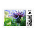 Simplicity postage