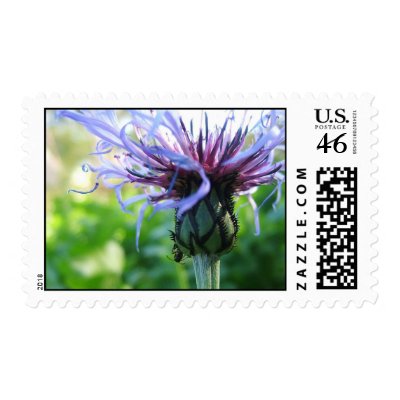 Simplicity Postage Stamps by theluckyone