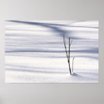 Simplicity Print