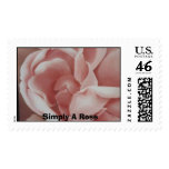 Simply A Rose Stamp