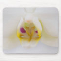 Simply an orchid mousepads