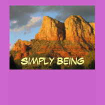 Simply Being pure and true t-shirts