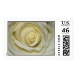 Simply Cream Rose Postage Stamp