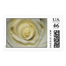 Simply Cream Rose Postage Stamp
