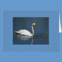 Simply Elegant Swan Notecard cards