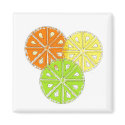 Simply Fruity magnets