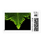 Simply green stamps