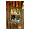 Simply Green posters by mpdphoto Simply Green posters
