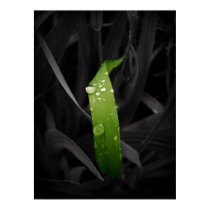 simply green posters