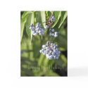 Simply, Happy Birthday! cards