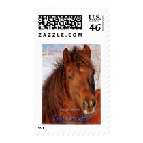 Simply Irresistible Rescue Horse Burrito postage by ForeverMorgans Simply Irresistible Rescue Horse Burrito postage