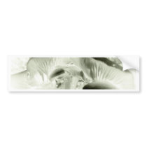 simply mushrooms bumper stickers