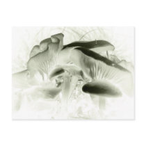 simply mushrooms postcards