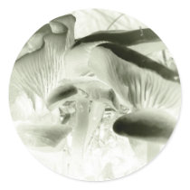 simply mushrooms stickers