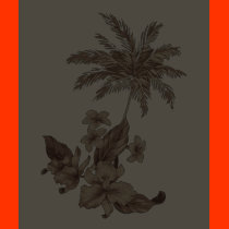 simply paradise t-shirts