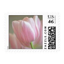 Simply Pink Tulip postage