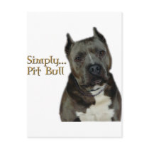 Simply PitBull Post Card