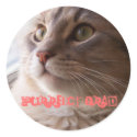 Simply Purrfect stickers by KatAnnette Simply Purrfect stickers
