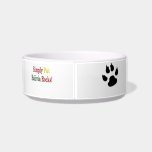 Simply Put Bolivia Rocks Cat Bowl
