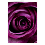 Simply Romantic Cards