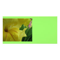 Simply Yellow photo cards