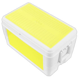 Simply Yellow Solid Color Igloo Ice Chest