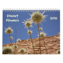 Sinai Desert Flowers Calendars