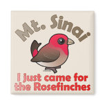 Sinai Rosefinches Square Magnet