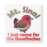 Sinai Rosefinches Square Magnet