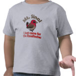 Sinai Rosefinches Toddler T-Shirt